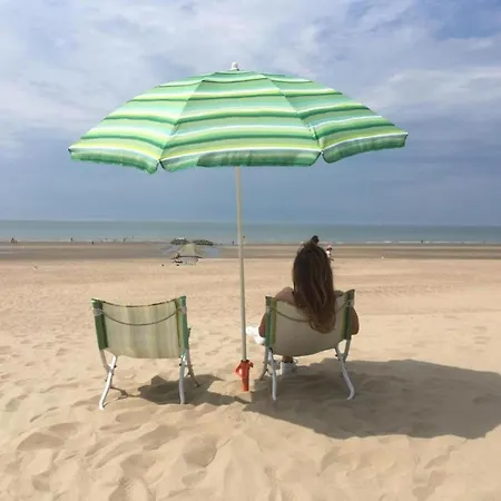 Apartman Zeewandeling 101in Location Near The